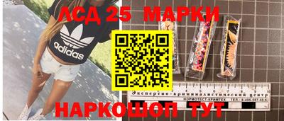 гидра Краснокаменск