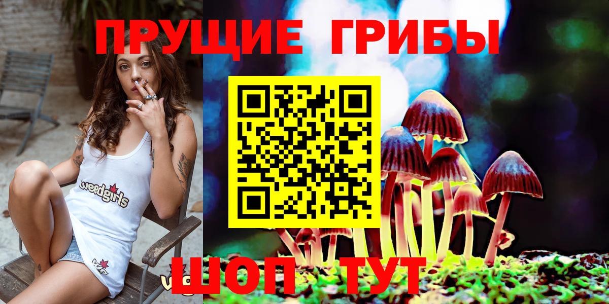 Псилоцибиновые грибы ЛСД  Вход с VPN  что такое наркотик  Кисловодск 